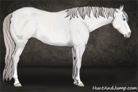 Horse Color:Platinum Perlino Dun Sabino 