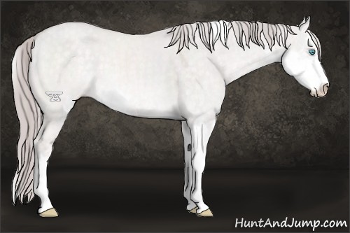 Horse Color:Platinum Perlino Dun Sabino 