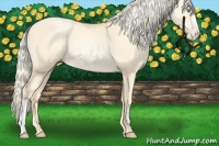 Horse Color:Palomino Pearl 