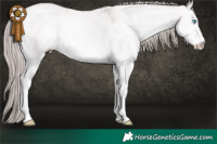 Horse Color:Platinum Perlino Dun Sabino 