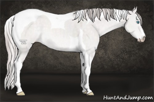 Horse Color:Platinum Perlino Dun Tobiano 