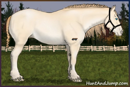 Horse Color:Buckskin Pearl 