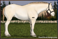 Horse Color:Buckskin Pearl 