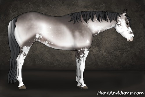 Horse Color:Platinum Brown Onyx Sabino 