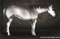 Horse Color:Platinum Brown Onyx Sabino 