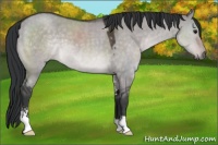Horse Color:Platinum Brown Dun Sabino 