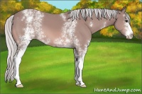Horse Color:Platinum White Spotted Silver Bay 