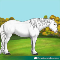 Horse Color:Silver Brown Mushroom Tobiano Varnish Rabicano 