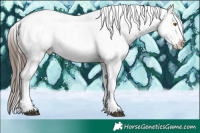 Horse Color:White Spotted Brown Mushroom Appaloosa 