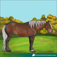 Horse Color:Silver Brown Mushroom 