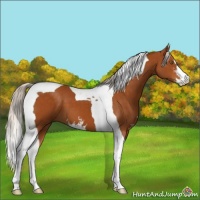 Horse Color:Silver Buckskin Sabino Tobiano