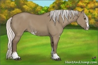 Horse Color:Silver Grullo Sabino