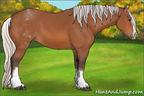 Horse Color:White Spotted Silver Bay Splash 