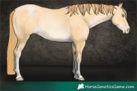 Horse Color:Buckskin Pearl 