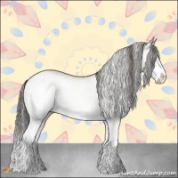Horse Color:White Spotted Bay Dun Splash  and White Spotted Bay Dun Splash 