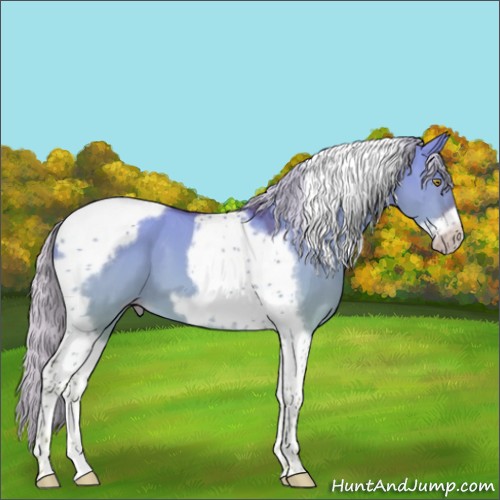 Horse Color:Silver Sable Champagne Dun Tobiano Frame 