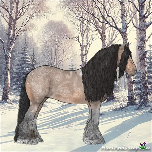 Horse Color:Bay Ice 