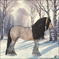 Horse Color:Bay Ice 