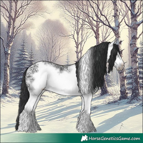Horse Color:Black Ice Sabino Frame 