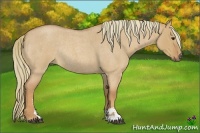 Horse Color:Red Dun Roan Sabino Rabicano