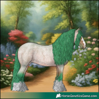 Horse Color:Watercolor Bay Roan Rabicano 