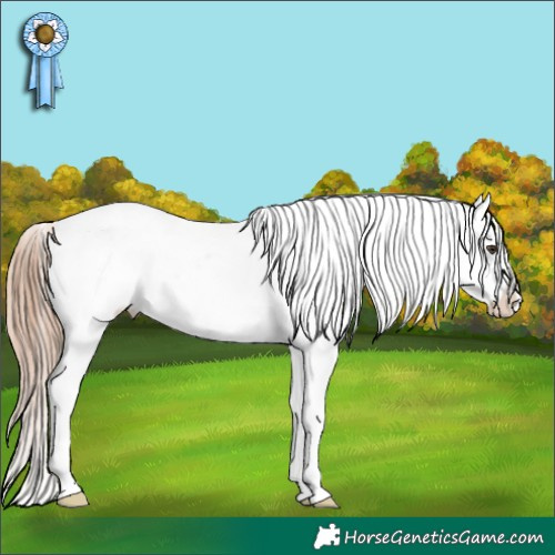 Horse Color:Liver Chestnut Sabino Varnish