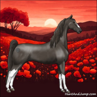 Horse Color:Smoky Black 