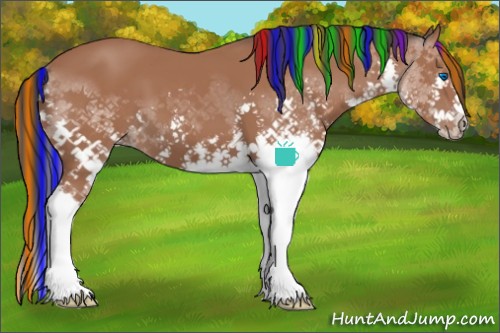 Horse Color:Painted Bay Sabino Splash 