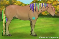 Horse Color:Painted Palomino Sabino 