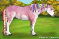 Horse Color:Painted Palomino Sabino Splash
