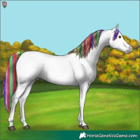 Horse Color:Gray Painted Chestnut 