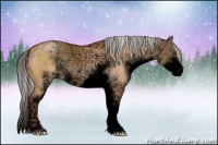 Horse Color:Void Silver Brown Dun Sabino