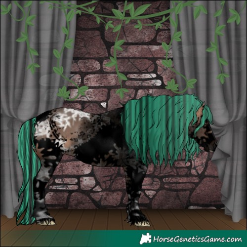 Horse Color:Void Painted White Spotted Bay Ice Dun Mushroom Sabino Splash