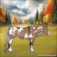 Horse Color:White Spotted Silver Brown Dun Sabino Appaloosa Rabicano 