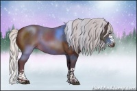 Horse Color:Chocolate Silver Bay Sabino Splash 