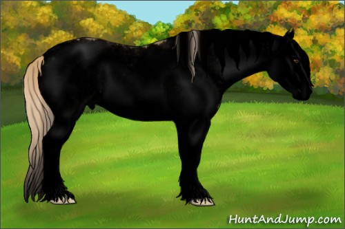 Horse Color:Void White Spotted Chocolate Palomino Dun Splash 