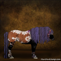 Horse Color:Void Painted Bay Ice Sabino