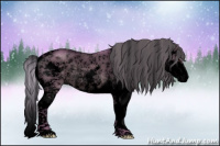 Horse Color:Void Watercolor Silver Brown Dun Sabino Appaloosa 