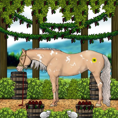 Horse Color:White Spotted Silver Amber Champagne