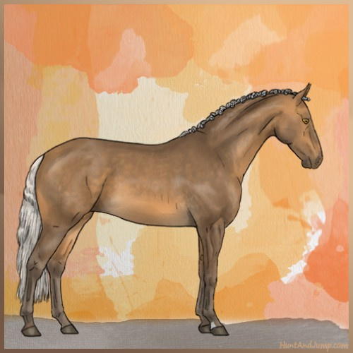 Horse Color:Silver Buckskin 