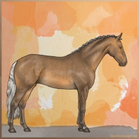 Horse Color:Silver Buckskin 