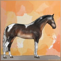 Horse Color:Gray Silver Brown Tobiano Rabicano 