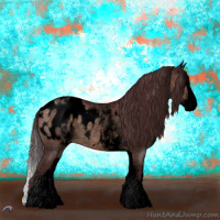 Horse Color:Void White Spotted Chocolate Brown Dun Splash Appaloosa 