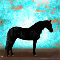 Horse Color:Void Brown Dun Mushroom Sabino Splash Appaloosa  and Void White Spotted Brown Dun Mushroom Splash Appaloosa 