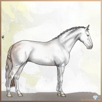 Horse Color:Gray Gold Champagne Splash Tobiano 
