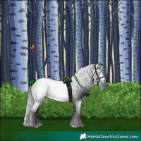Horse Color:Gray Brown 