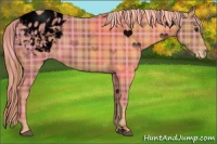 Horse Color:Void Plaid  Chestnut Sabino Blanket Rabicano 