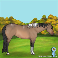 Horse Color:Bay Dun Tobiano 