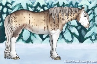 Horse Color:Silver Brown Onyx Splash Brindle 