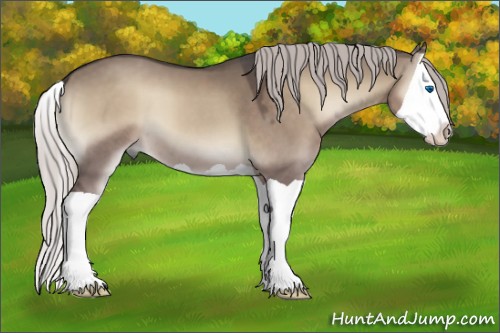 Horse Color:Silver Grullo Onyx Splash 